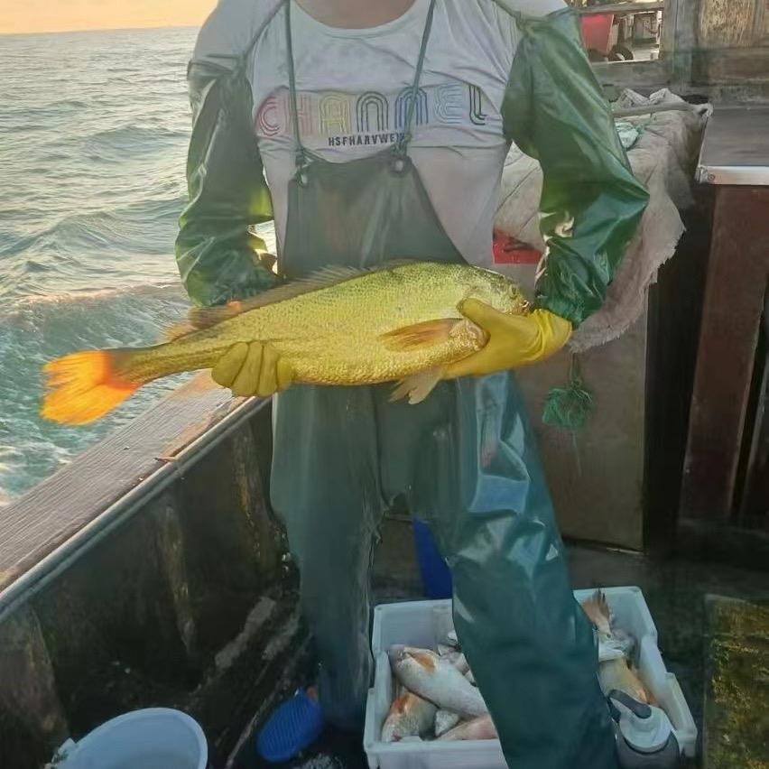 波哥海鲜