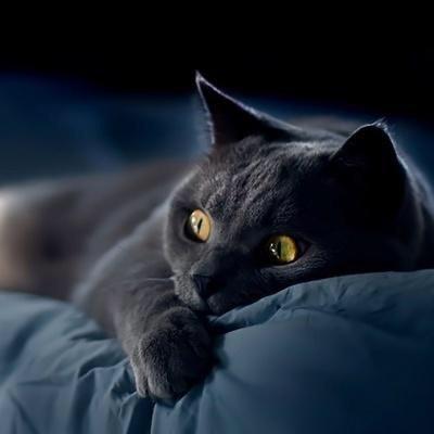 ￴￴ ￴￴￴￴ ￴￴ ￴藝境