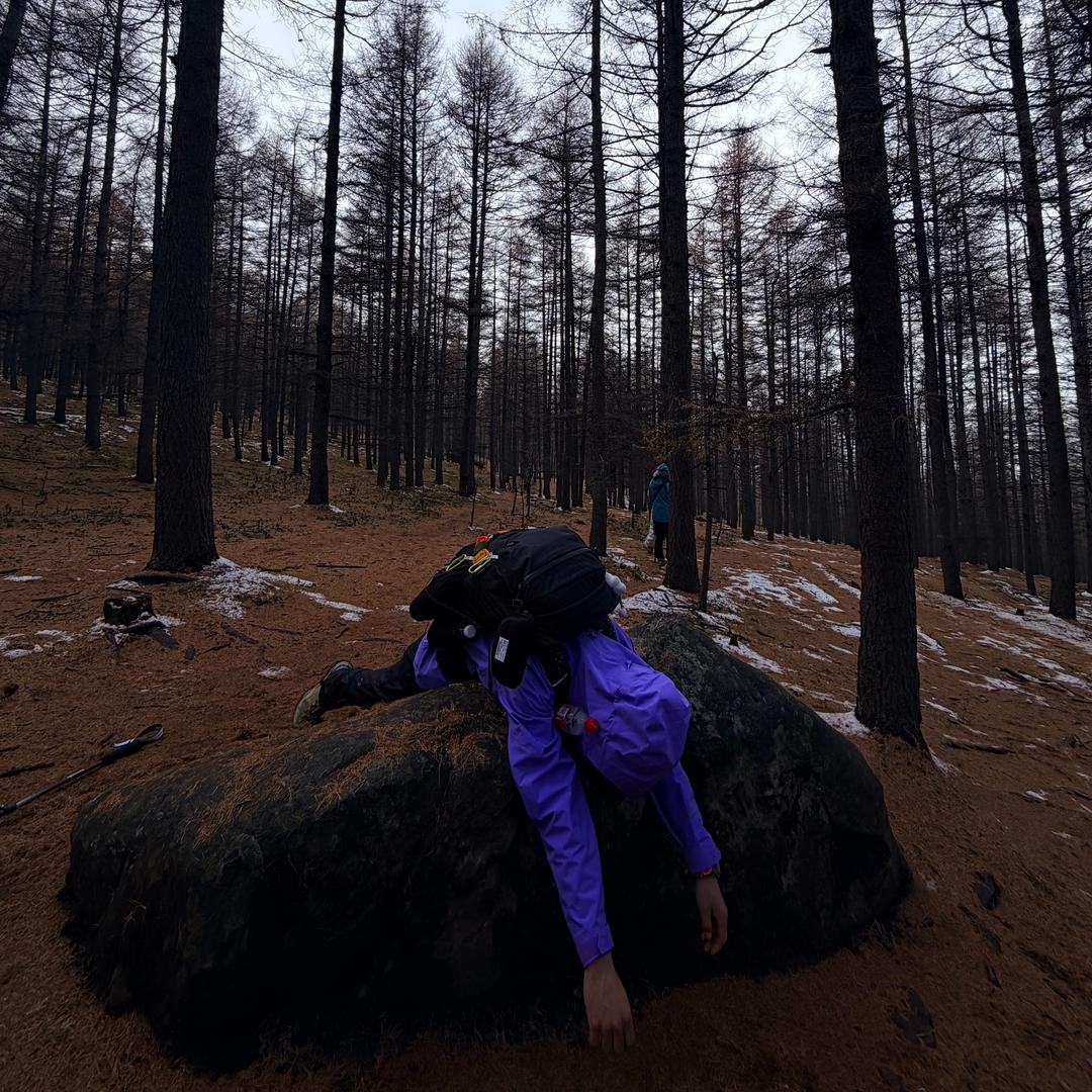 Muskmelon🍈（战损版）