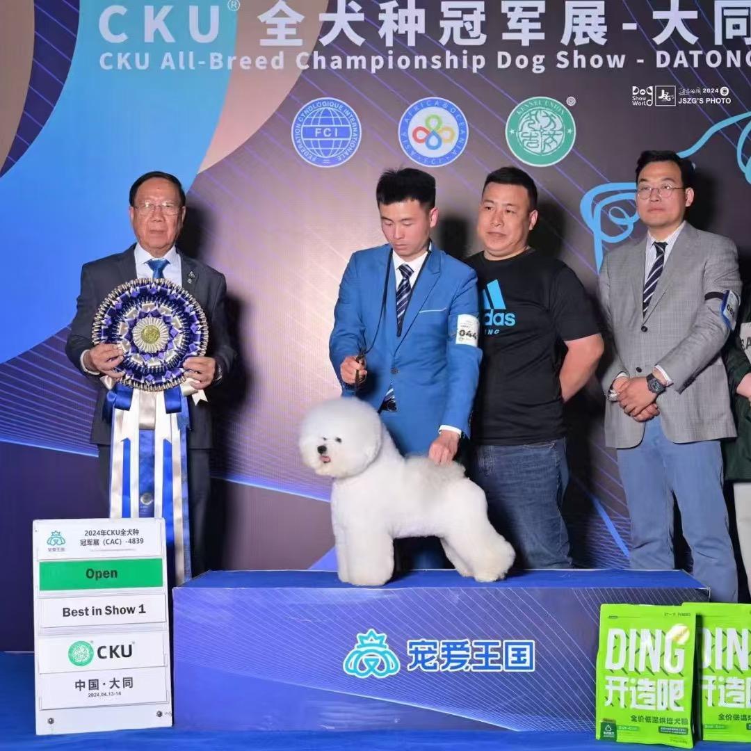 一一一比熊犬舍