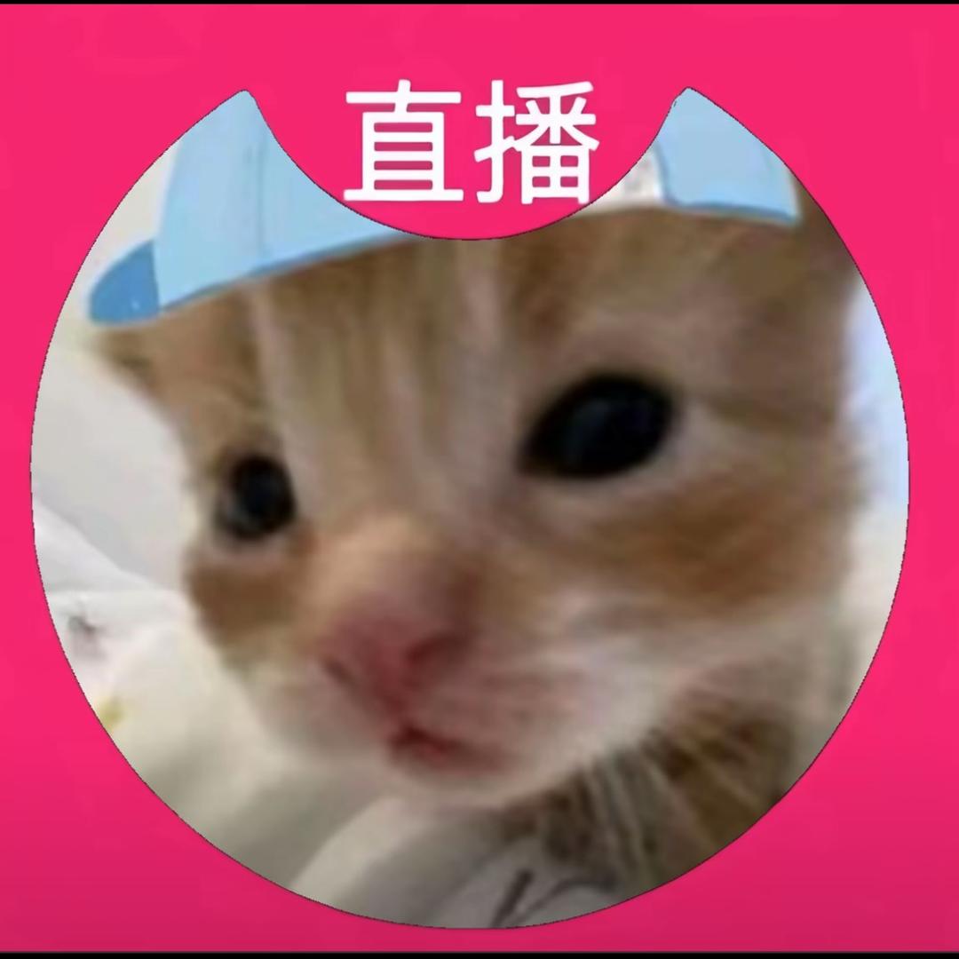 转圈圈