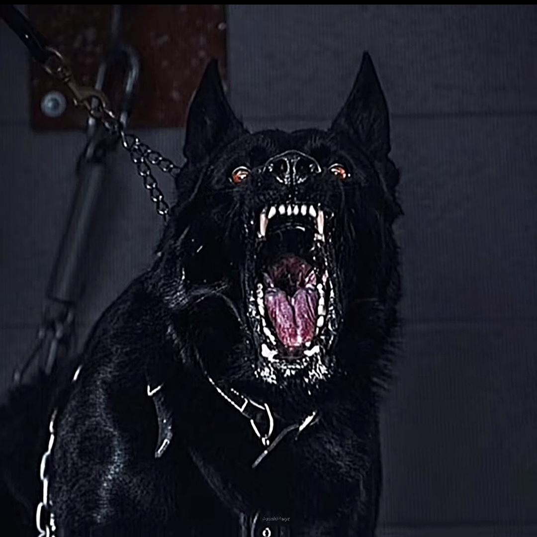 鬣狗