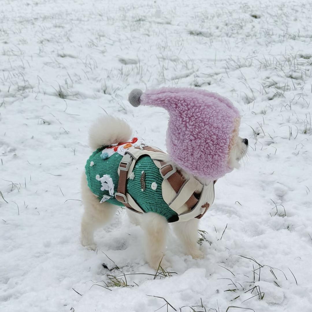 王德發—帽子版