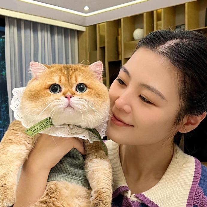 猫夫人安白