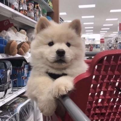 ╮じ☆ve吖頭灬