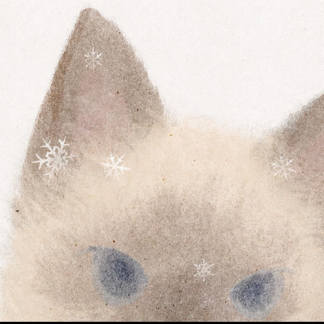 今夜能看见星星吗