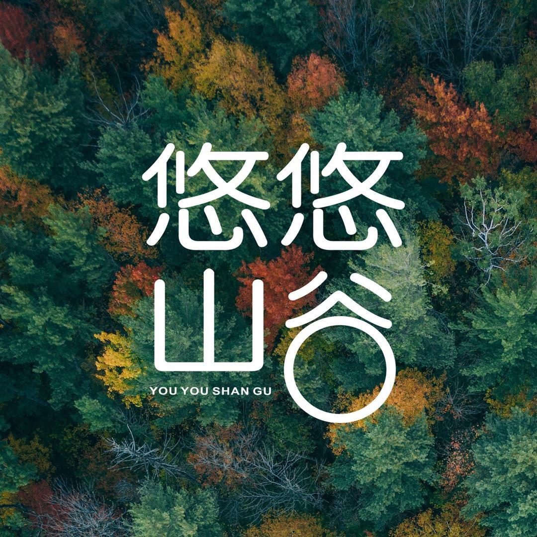 悠悠山谷企业店