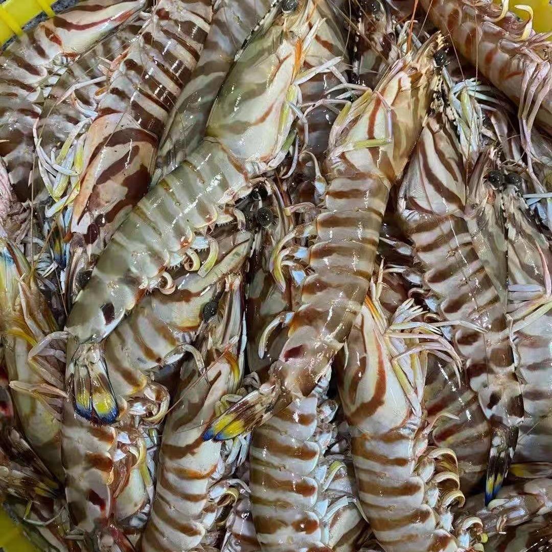 福祥金盛
