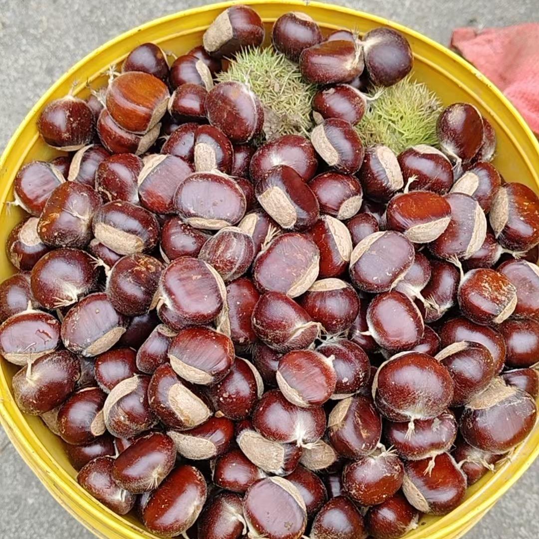 栗乡小铺