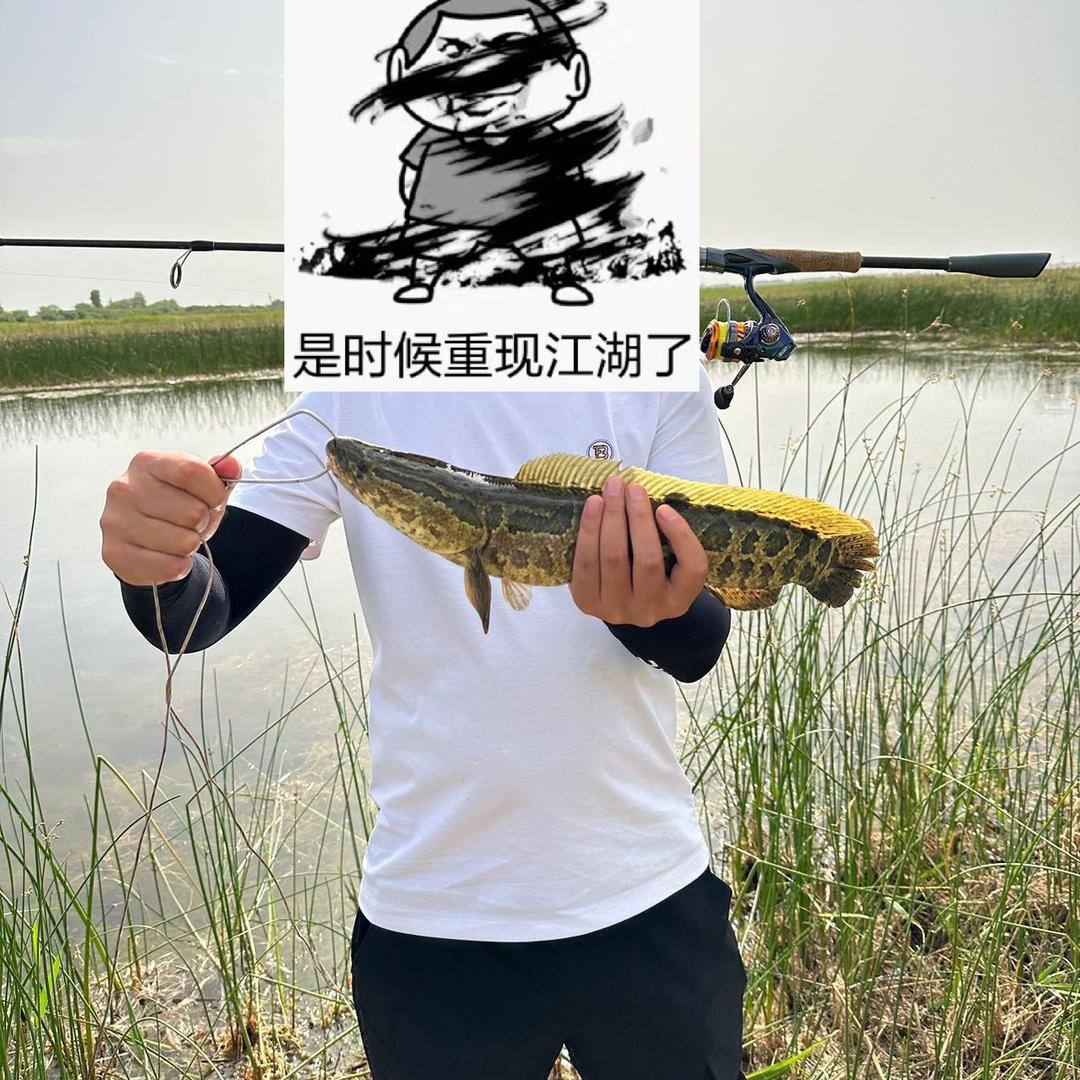 荆棘I