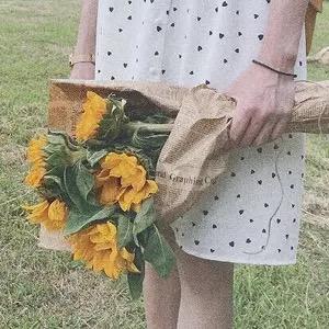 Y.🧚‍♀️