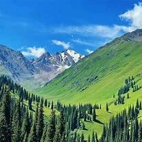 珠海空调F8直播号