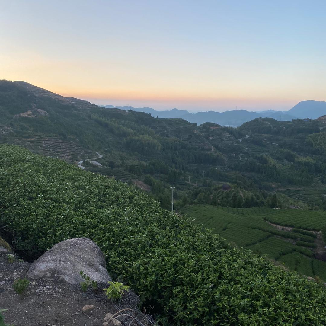 @专业爆光国内外骗子