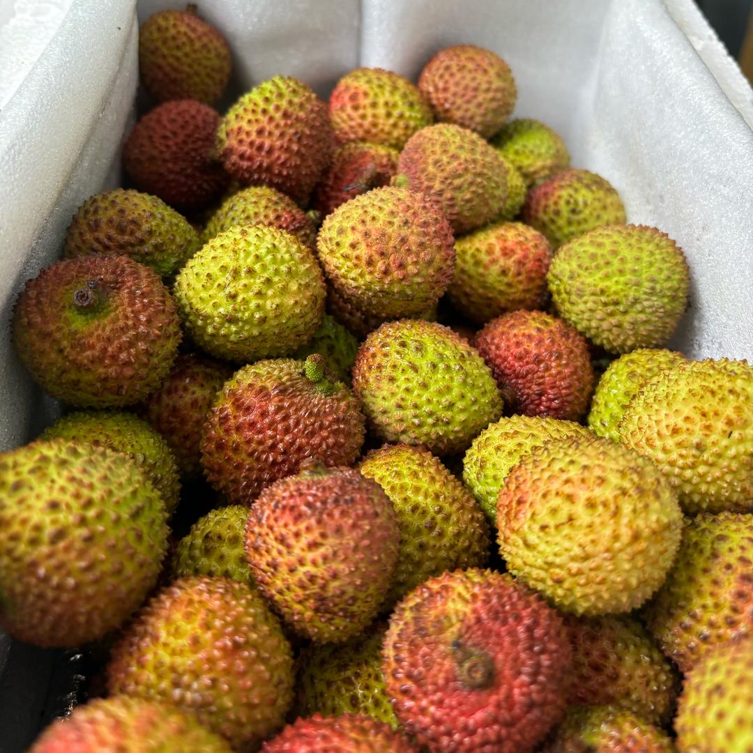 遇见好荔枝