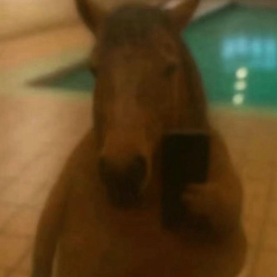 用户-88888888888888888