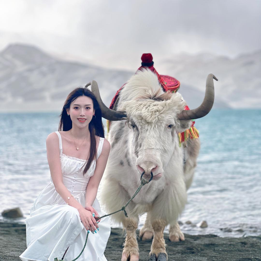 学术美羊羊