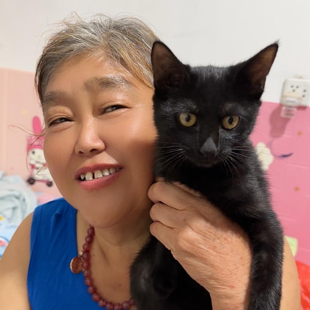 白云救助流浪猫