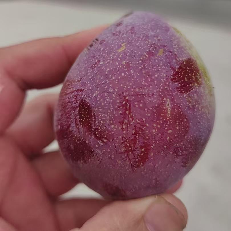 小马仓储甄选
