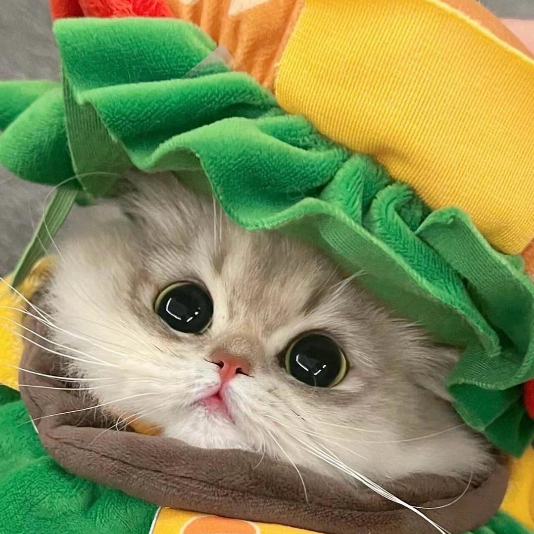 @HuHu~