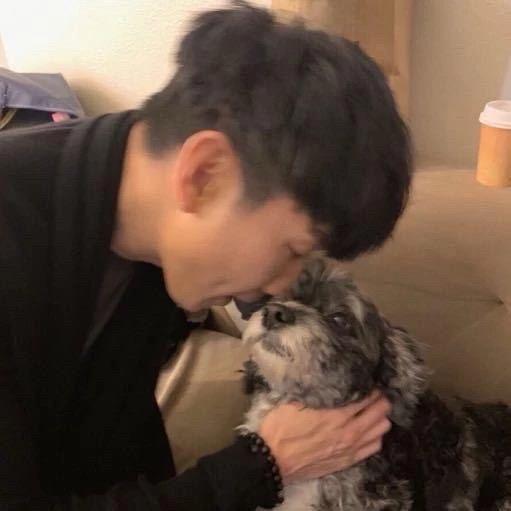 永远幸福的小狗
