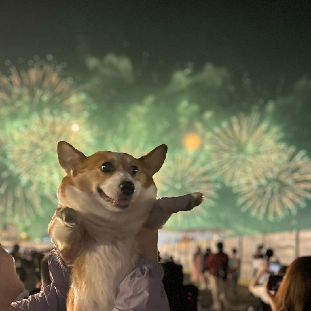 原来是樱桃丫