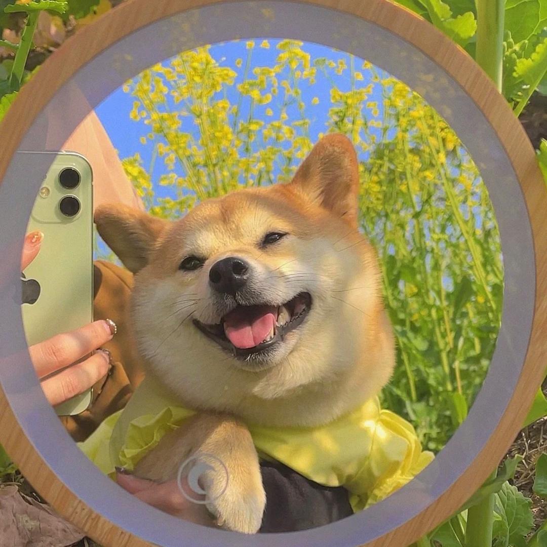 偷吃芒果冰