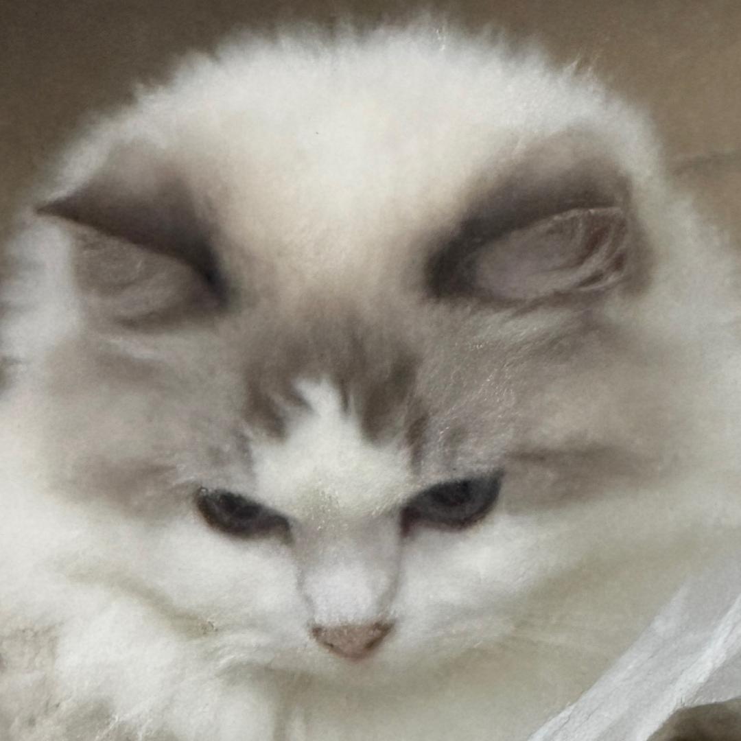胖虎