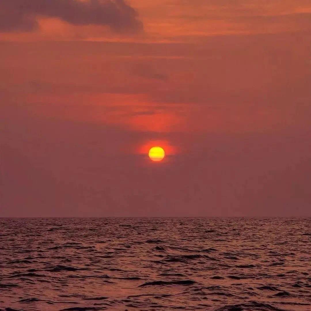 立夏的日记