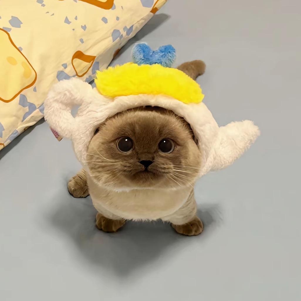 睡不🌟
