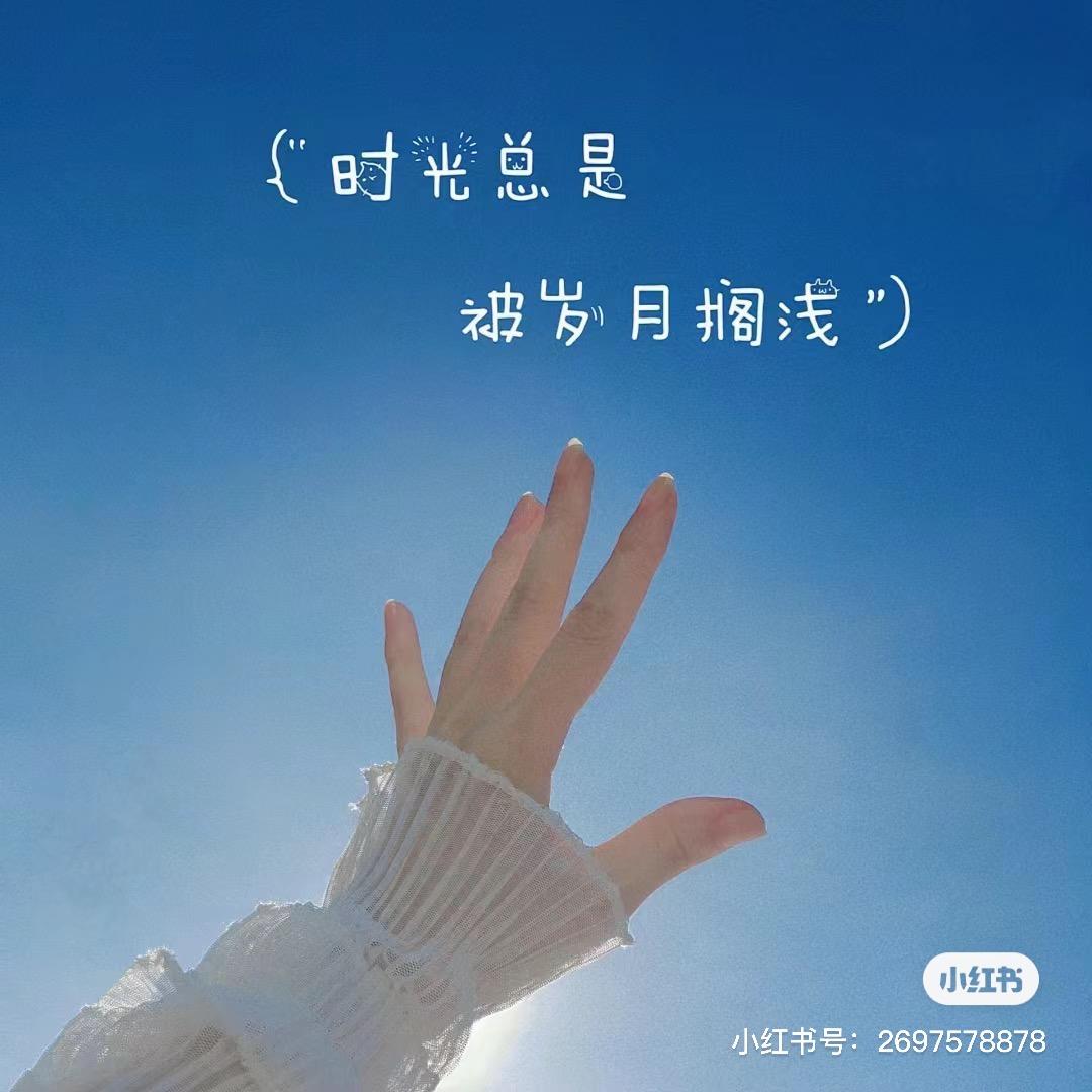 呆萌兔