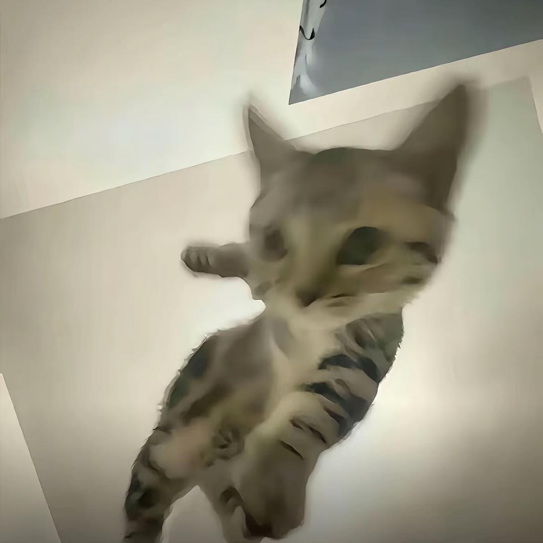 泗