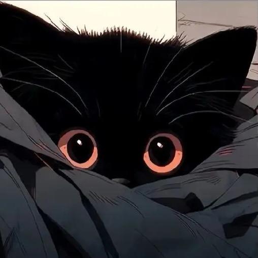 酒閃达(粮河路店)闪uu直播号