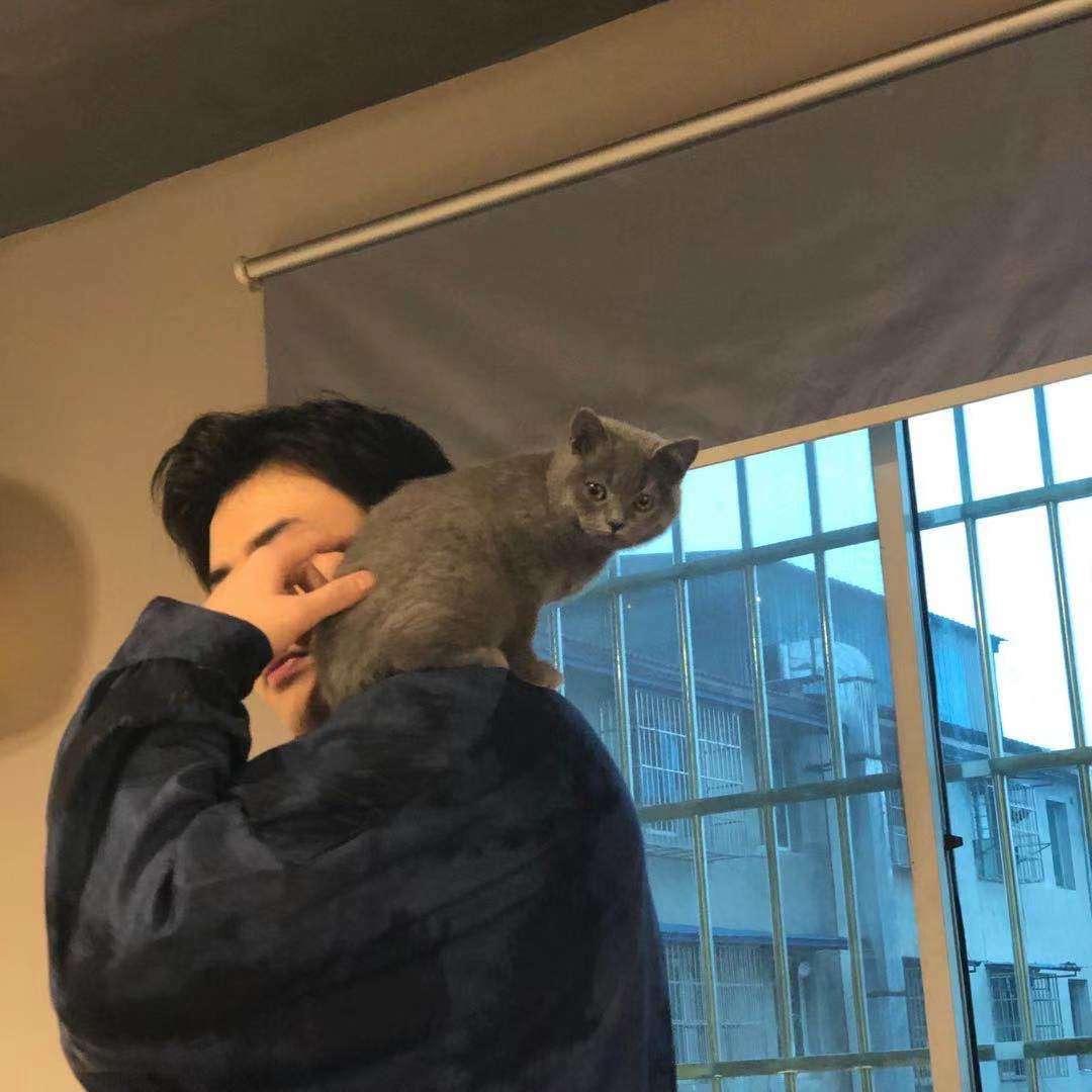 小航在襄城