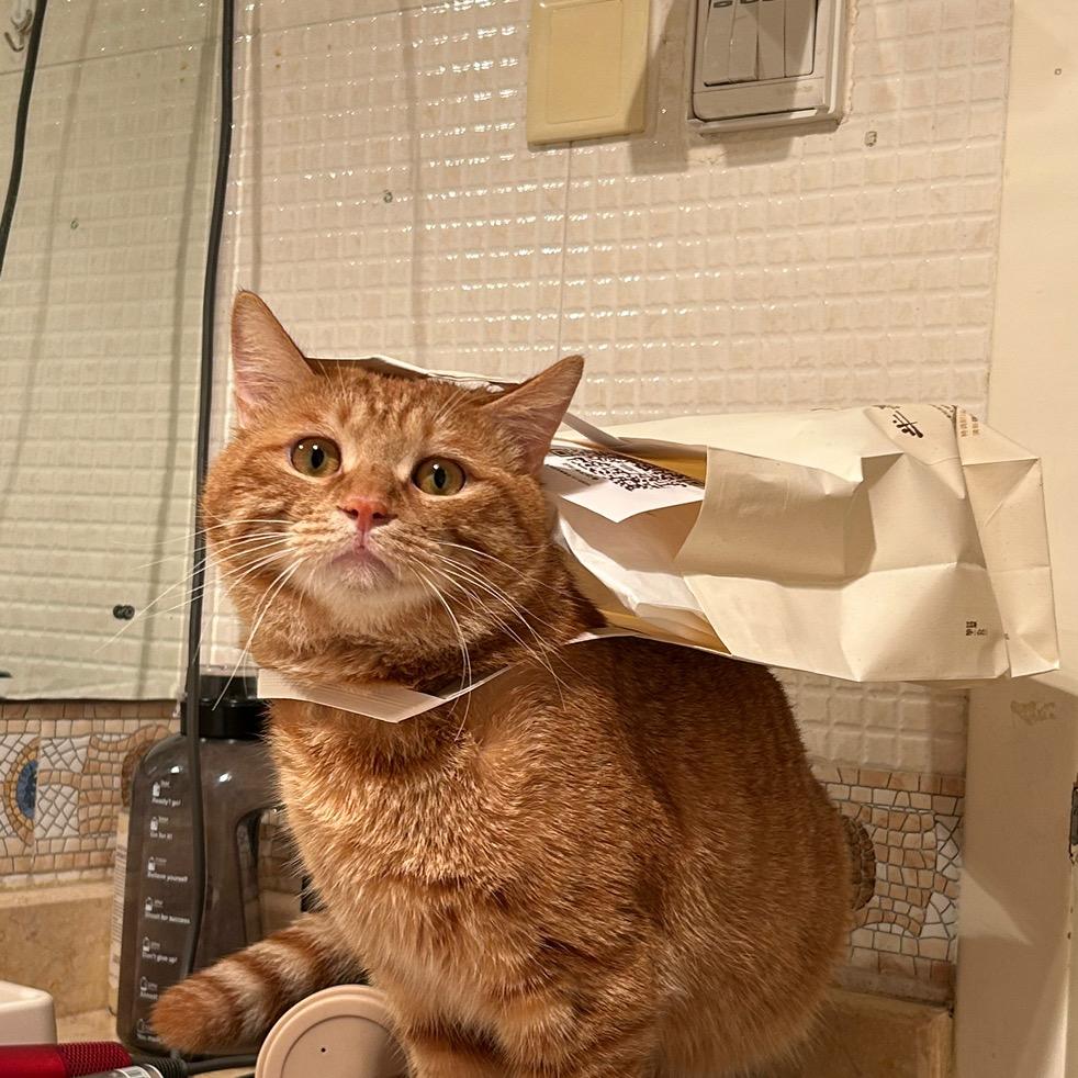 笑里藏猫