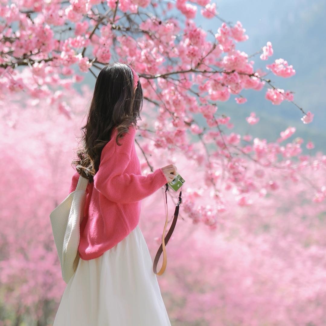 小思
