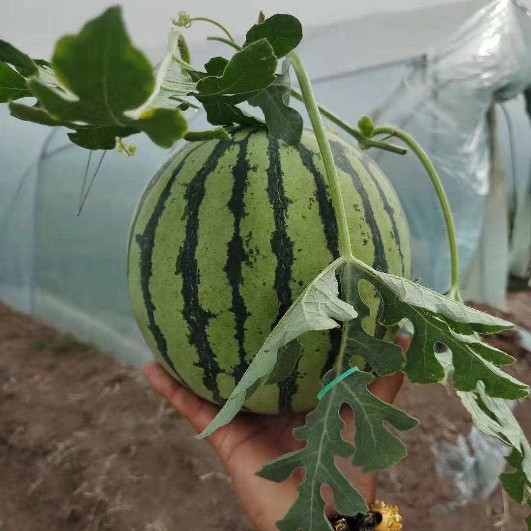王永果业
