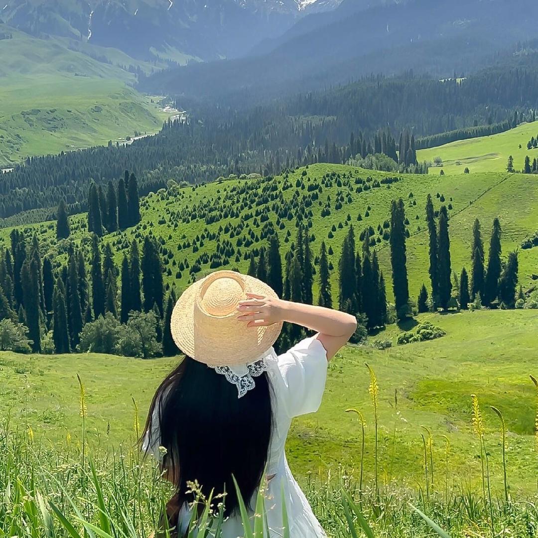 小新的旅行日记