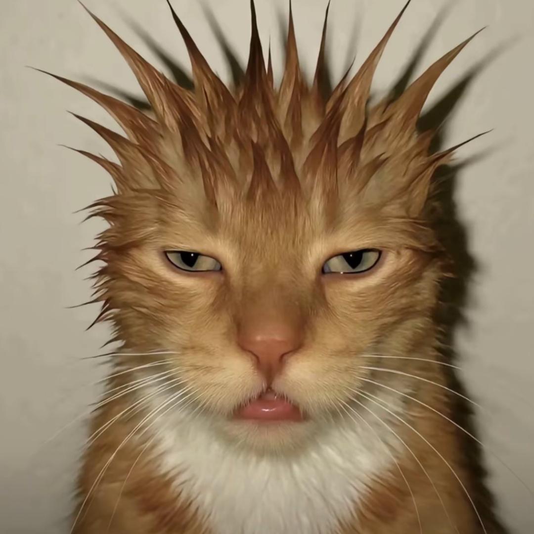 LTin