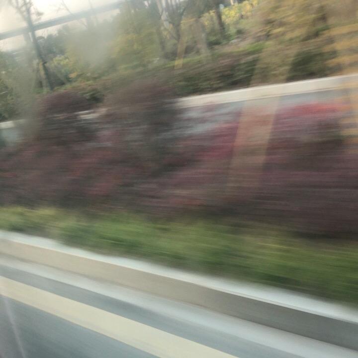 雅萱