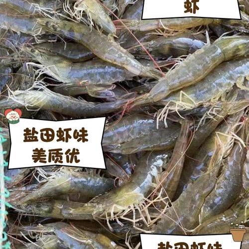 鲜之鲜品