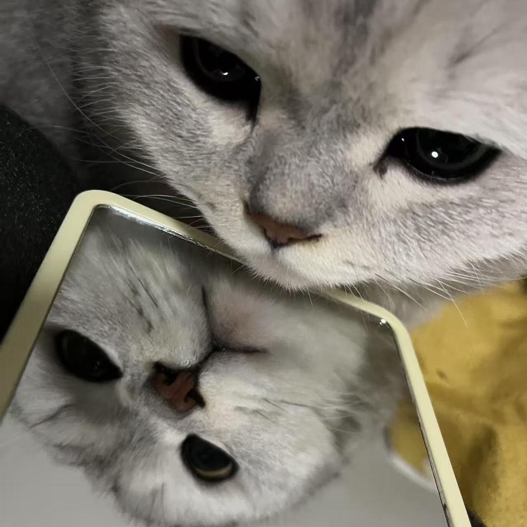 旺旺^_^
