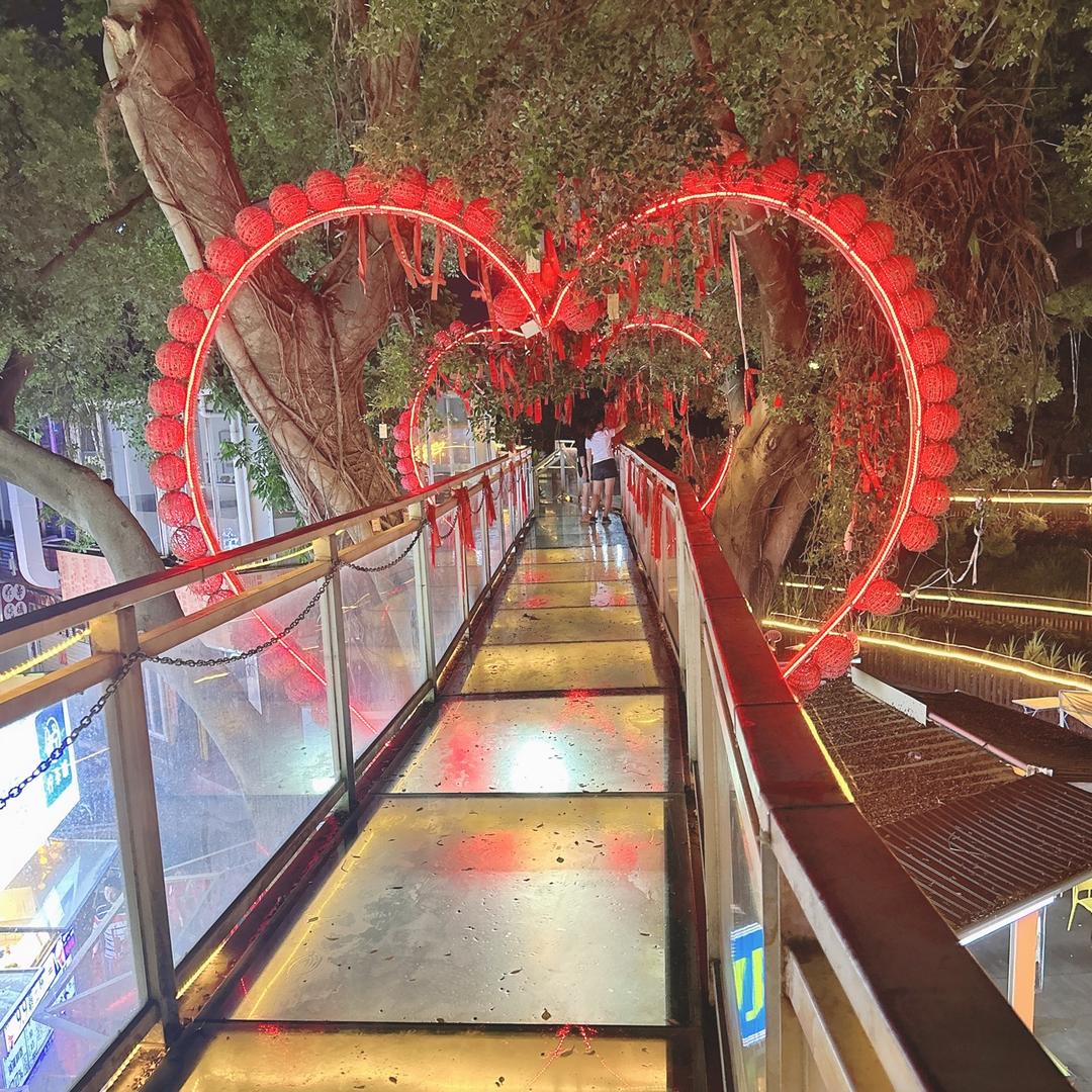 张💗敏