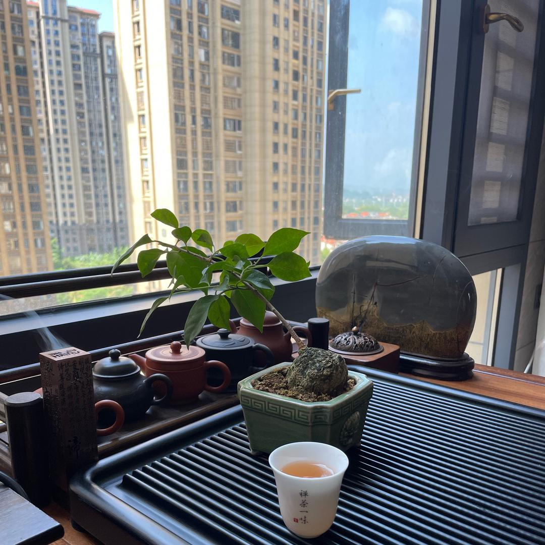秋高气爽
