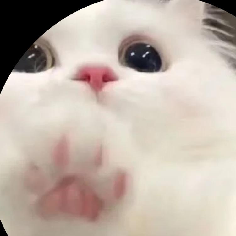小迷糊