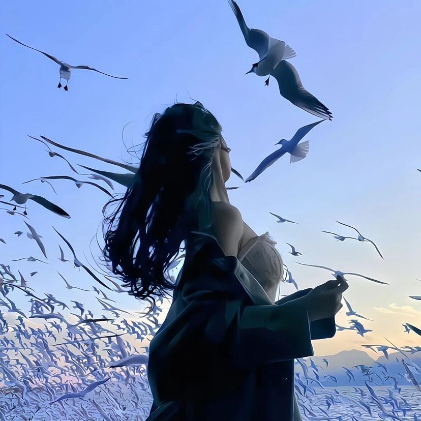 白鸽🕊️～