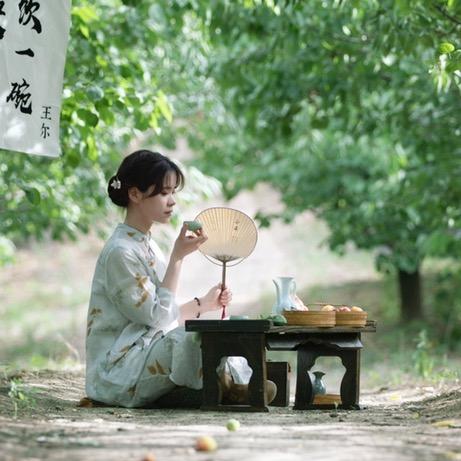 鼎芝盛茯茶