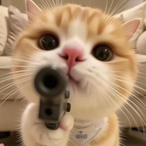 猫♡猫