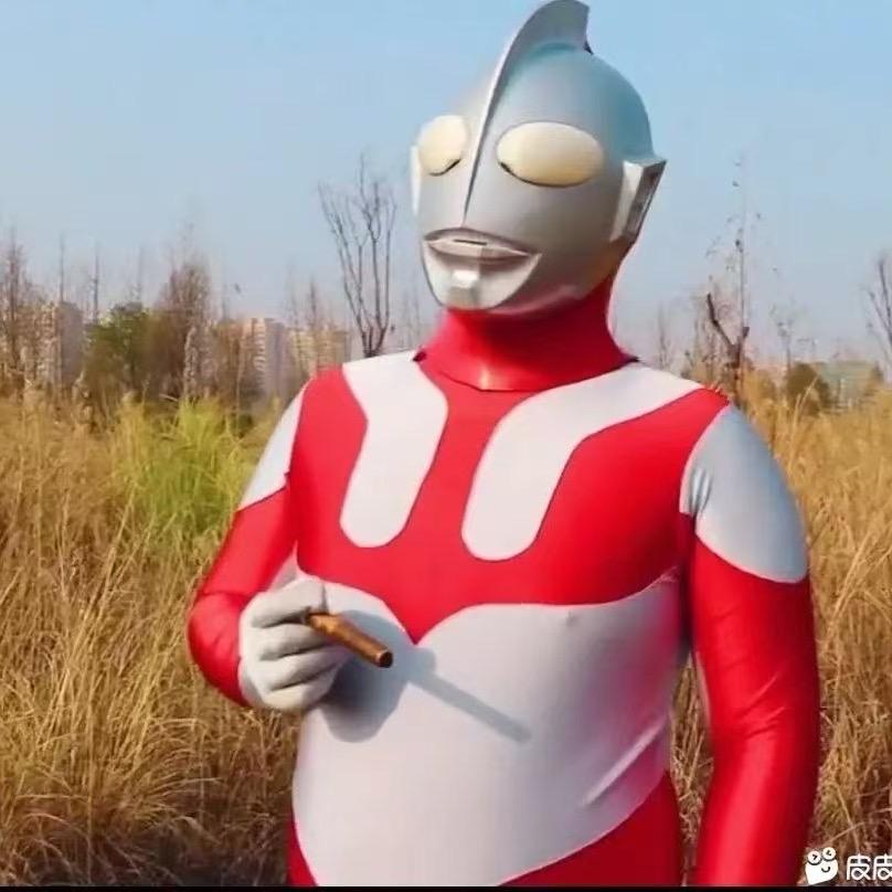 抓只小猪 （三角洲代肝）