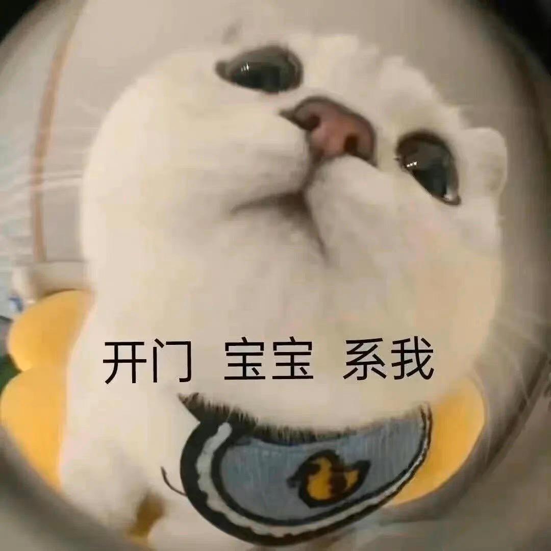 真真大王来咯