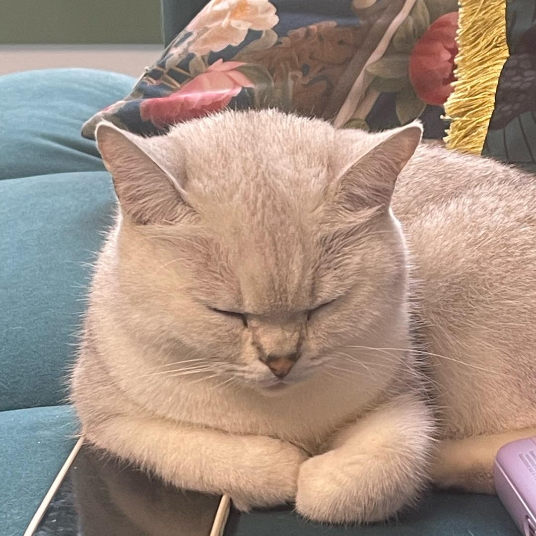 柔芙安（打工版）